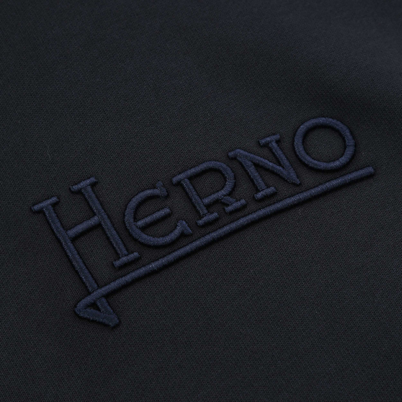 Herno Felpa Logo Con Cappuccio Hoodie Sweat Top in Navy Logo1